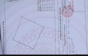 283m2 Xã Tam Đa Bắc Ninh