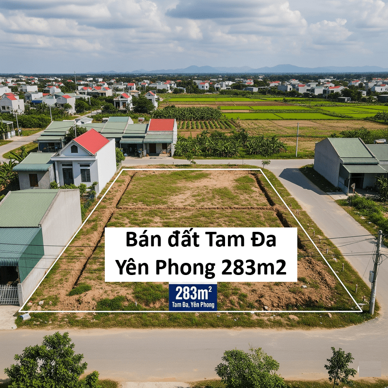 Bán đất Tam Đa Yên Phong 283m2