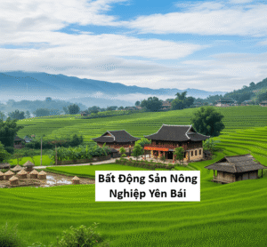Bất Động Sản Nông Nghiệp Yên Bái