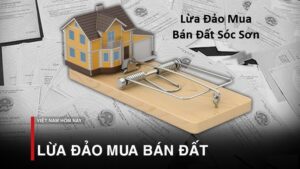 Lừa Đảo Mua Bán Đất Sóc Sơn