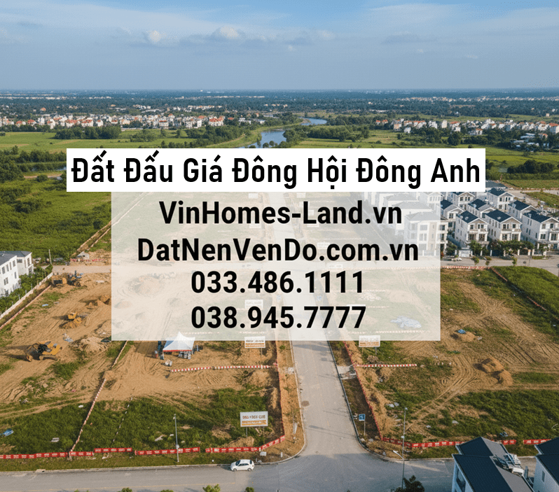 Đất Đấu Giá Đông Hội Đông Anh