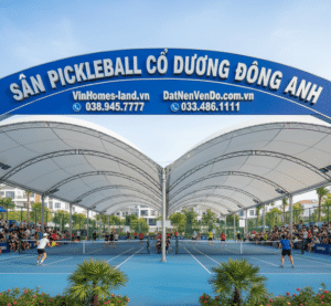 Sân Pickleball Cổ Dương