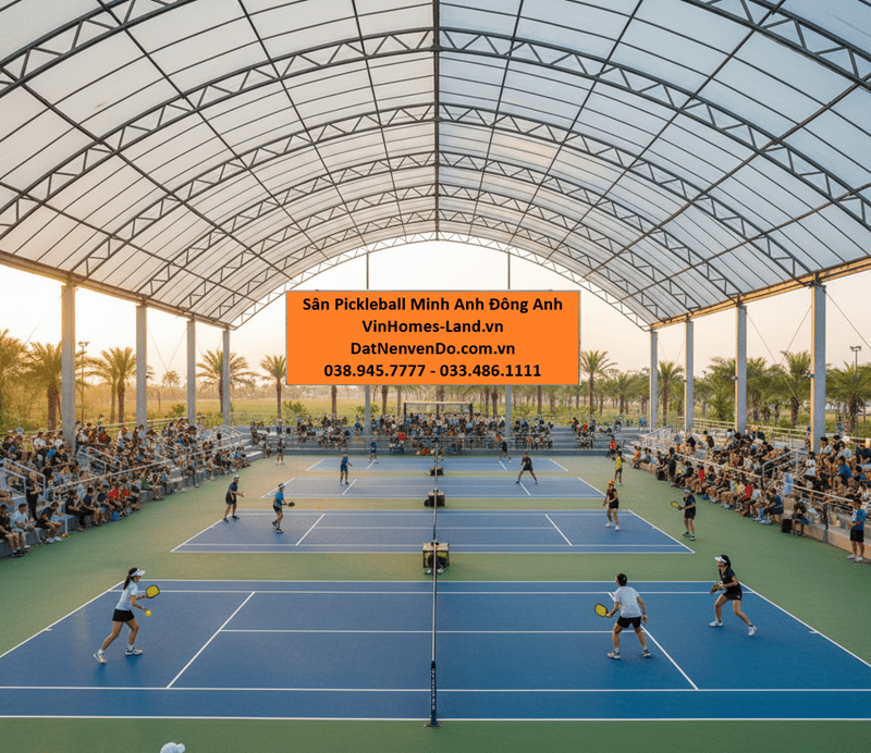Sân Pickleball Minh Anh Đông Anh