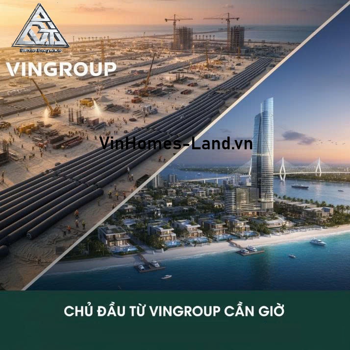 Chủ đầu tư Vingroup Cần Giờ