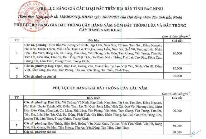phu-luc-nghi-quyet-128-2025-nq-hdnd-tinh-bac-ninh