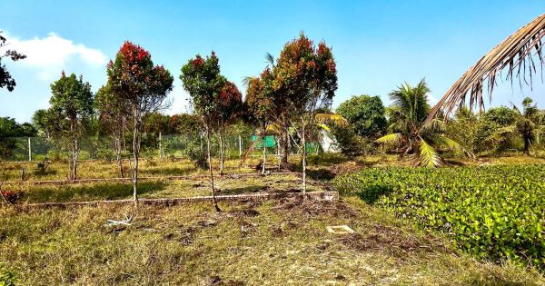 Hình ảnh kết nối giao thông