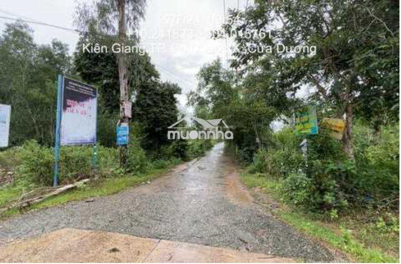 Ảnh lô đất Thư Lâm