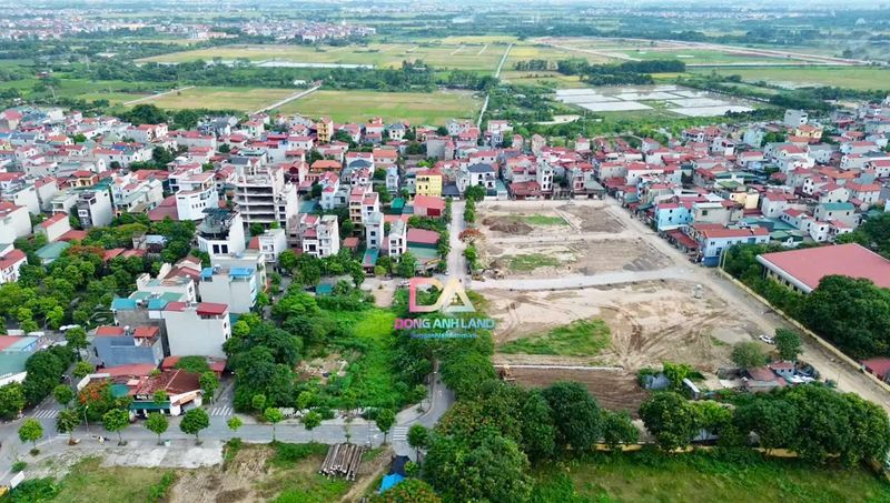 Thông tin đấu giá Thư Lâm