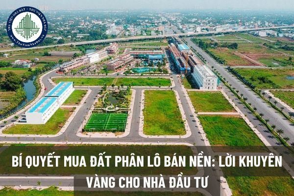 Phân lô bán nền