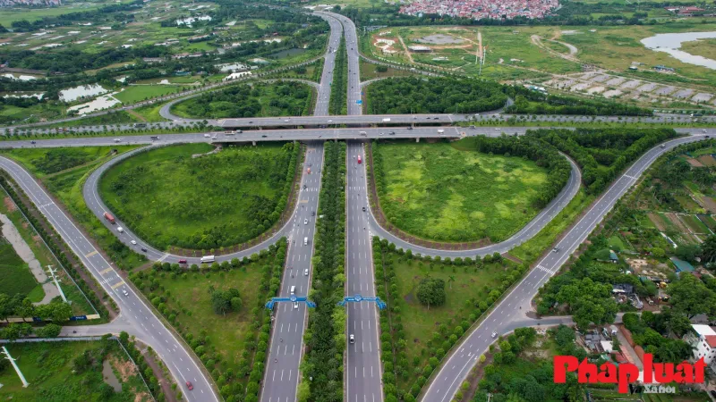 Thông tin pháp lý