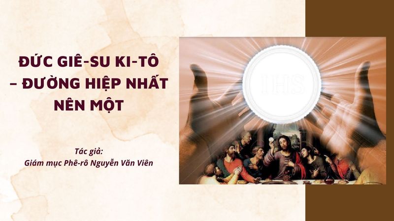 Hình ảnh các hoạt động tại khu vực