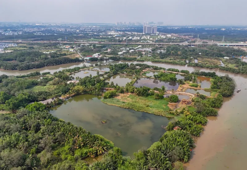 minh họa thị trường