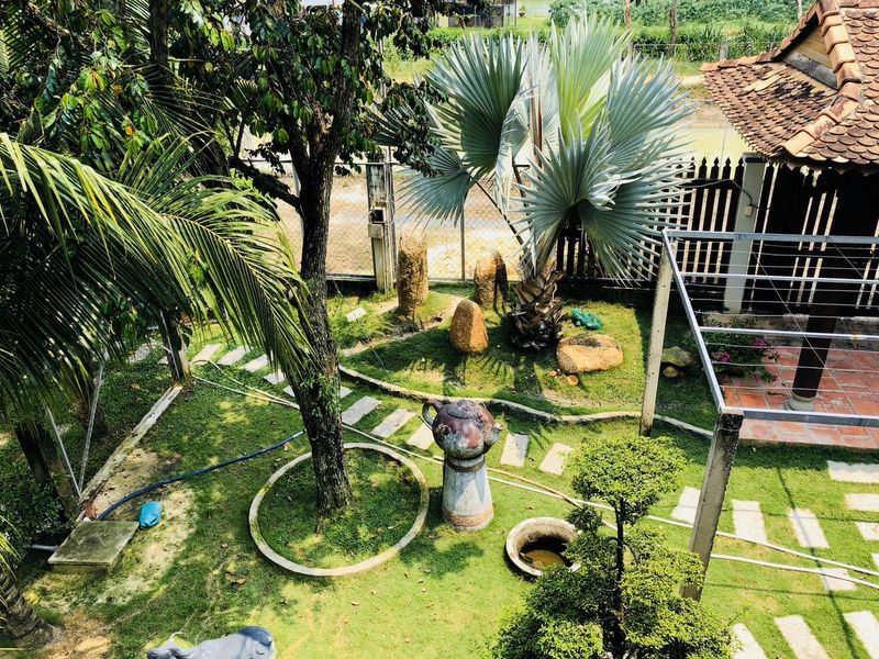 Hình ảnh khu đất sào Hiệp Hòa