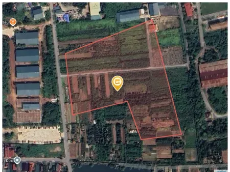 Mặt bằng hiện trạng