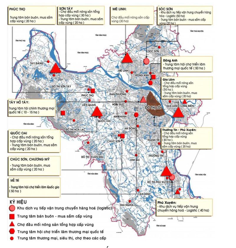 Hoạt động chợ đầu mối