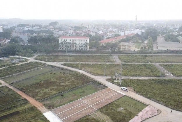 Hình ảnh minh họa thực địa và lô phân nền