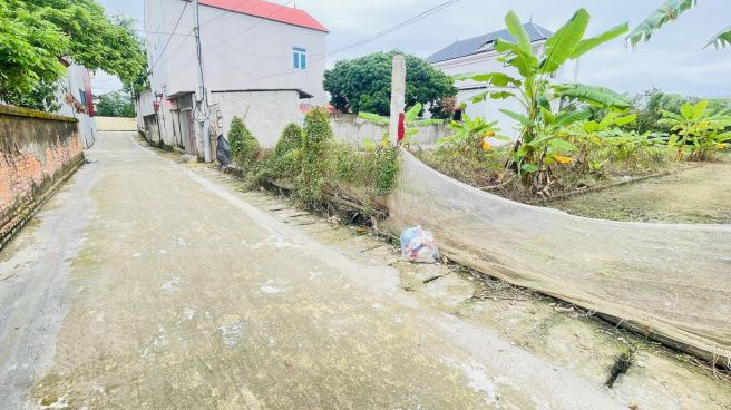 Ảnh minh họa khu đất nền