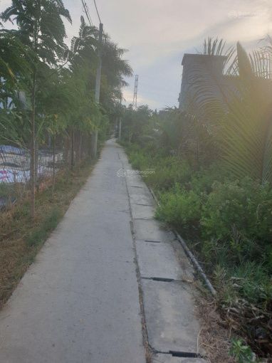 Phối cảnh khu dân cư