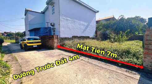 Nội thất phòng khách / bếp