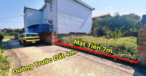 Kiểm tra thực địa và hạ tầng