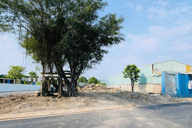 Hình ảnh thực địa Sóc Sơn