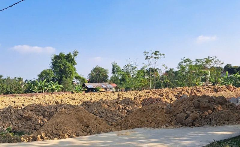 Máy móc và phục hồi cảnh quan