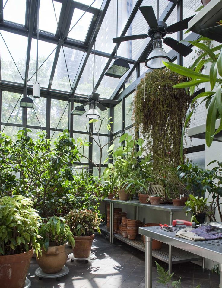 Townhouse với khung kính trên mái