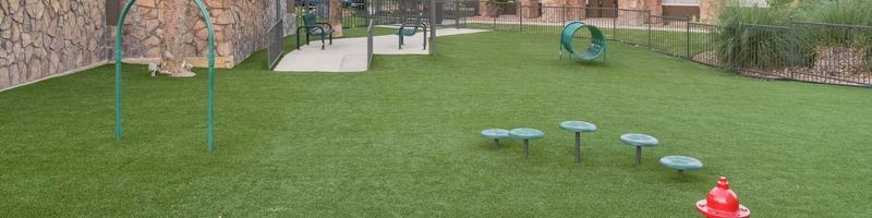 Ảnh nội thất căn hộ pet-friendly