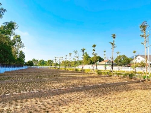 Cảnh quan hạ tầng và tiềm năng phát triển