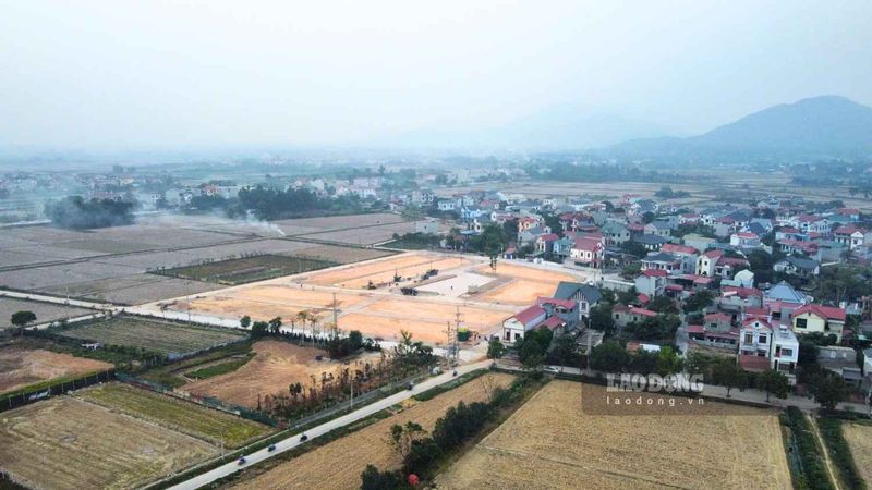 Phương án mặt bằng và khuôn viên dự án