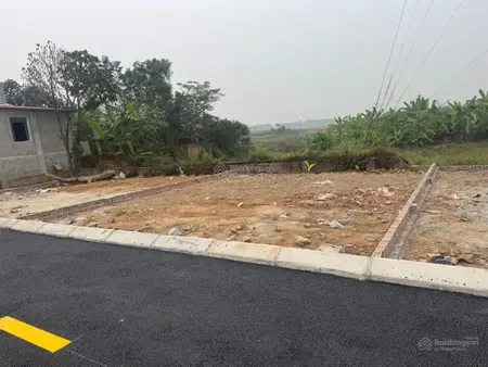 Hình ảnh minh họa kế hoạch phát triển và marketing bất động sản