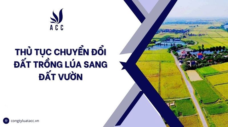 Thủ tục chuyển đổi đất trồng lúa sang đất vườn