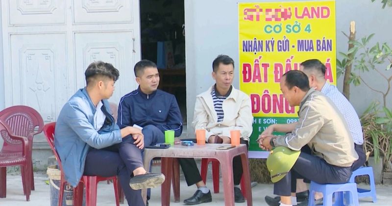 Minh họa màn hình dữ liệu thị trường