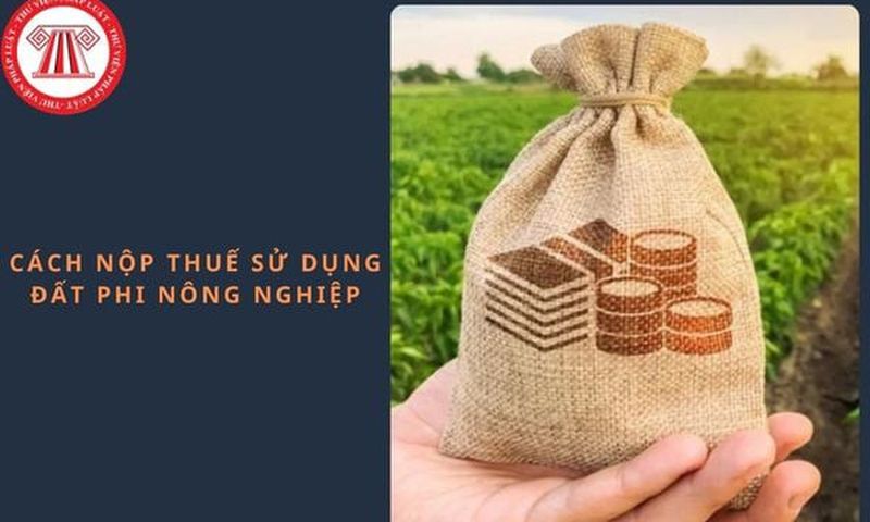 Ảnh minh họa về cách nộp thuế