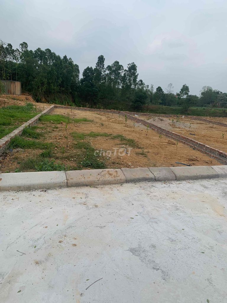 Minh họa hồ sơ đất nền