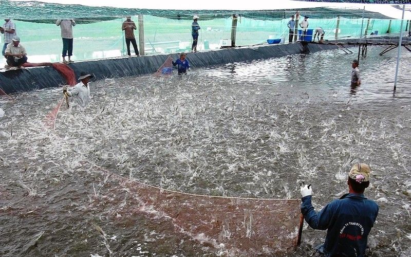 đất nuôi trồng thủy sản là gì