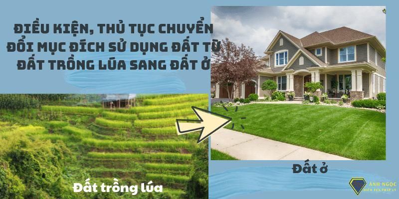 Điều kiện thủ tục chuyển đổi mục đích sử dụng đất từ đất trồng lúa sang đất ở