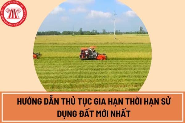 Hướng dẫn thủ tục gia hạn