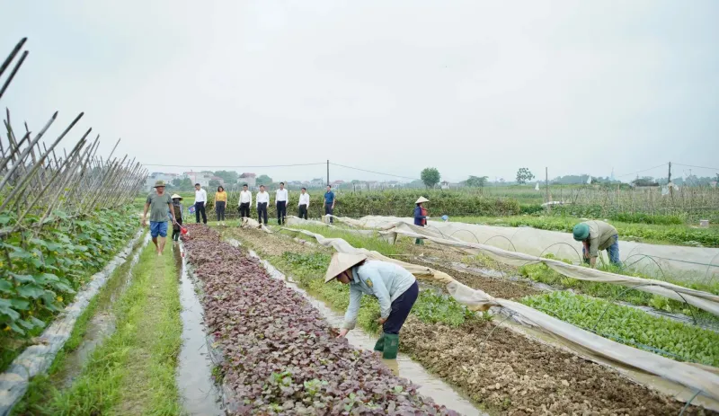 Hình ảnh hiện trường hoặc văn phòng địa chính xã