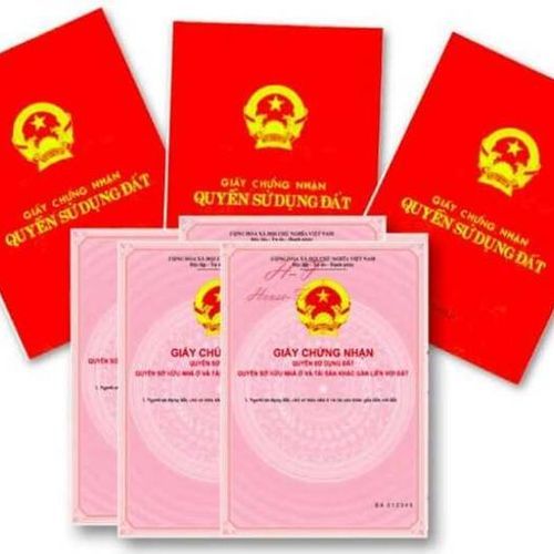 khai-niem-ve-so-hong-va-so-do-500x500-1