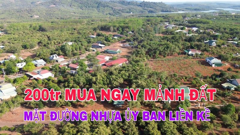 Ảnh minh họa 5