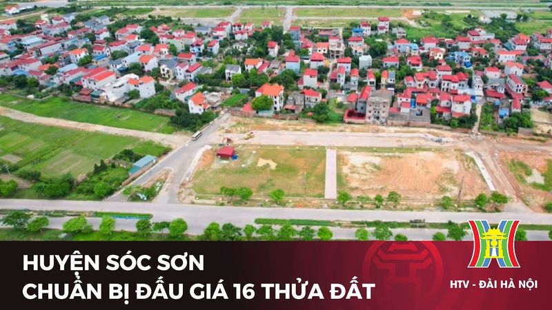 Phiên đấu giá / minh họa