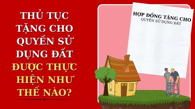 ảnh minh họa thủ tục
