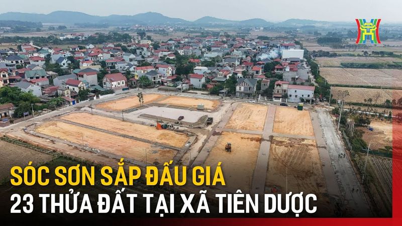 Thực địa và tư liệu thị trường