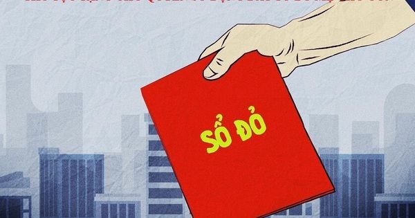 Ảnh chuyên gia pháp lý làm việc với khách hàng