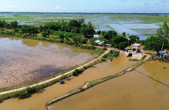 Hệ thống quan trắc và phân tích chất lượng nước