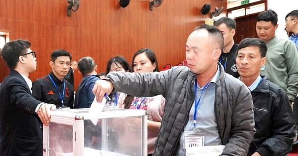 Quang Minh đấu giá đất