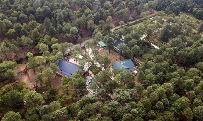 Kiểm tra hiện trường Sóc Sơn