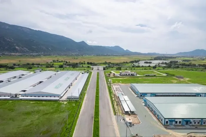 Hình ảnh minh họa quy trình và chi phí