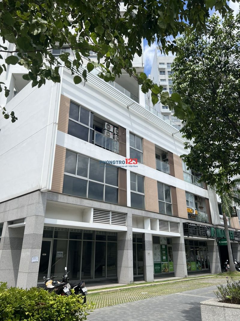 Phối cảnh mặt tiền và bố trí thang bộ / thang máy